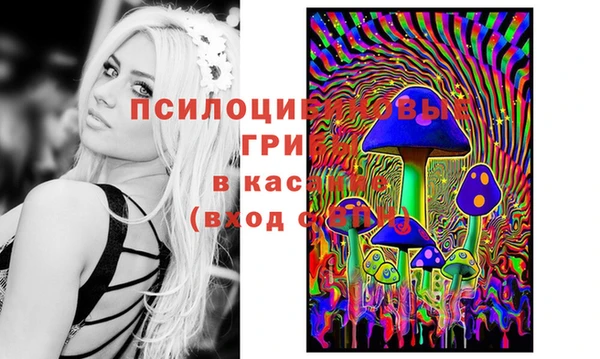 соль курить ск Абаза