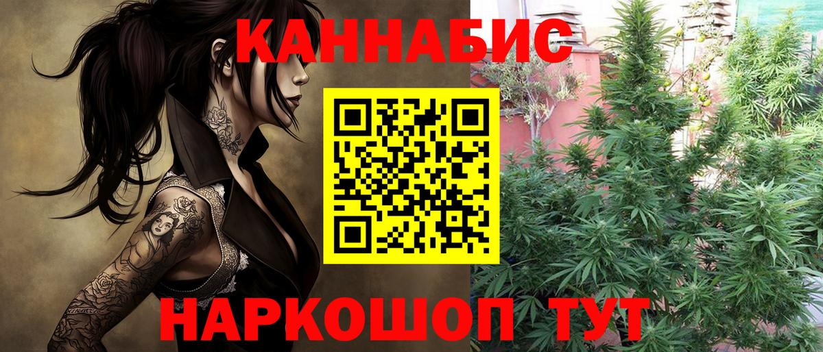 Бошки Шишки ГИДРОПОН  Бошки Шишки конопля  Заринск  Вход с VPN  Каннабис AK-47 